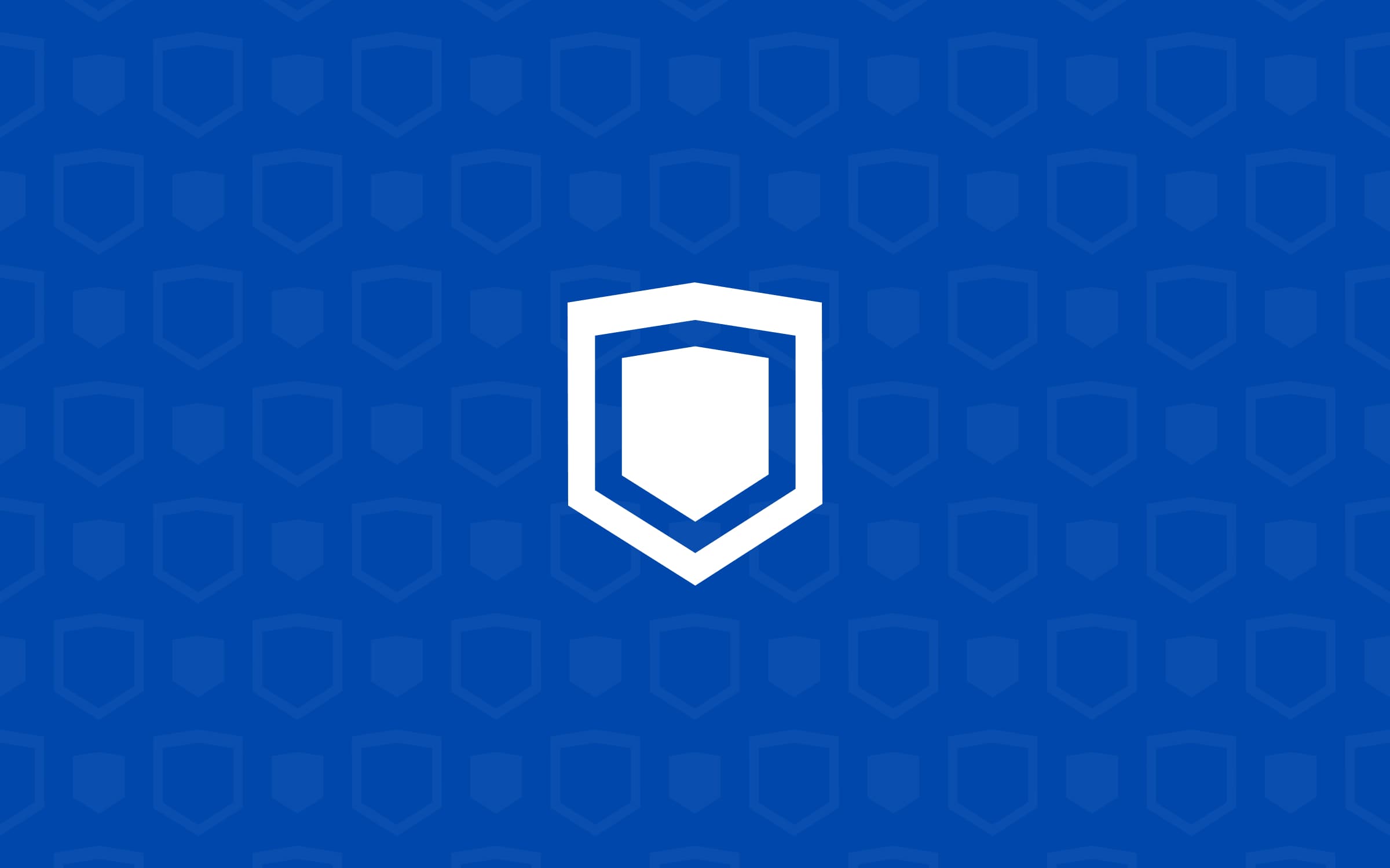 Euroshield Capital visual identity